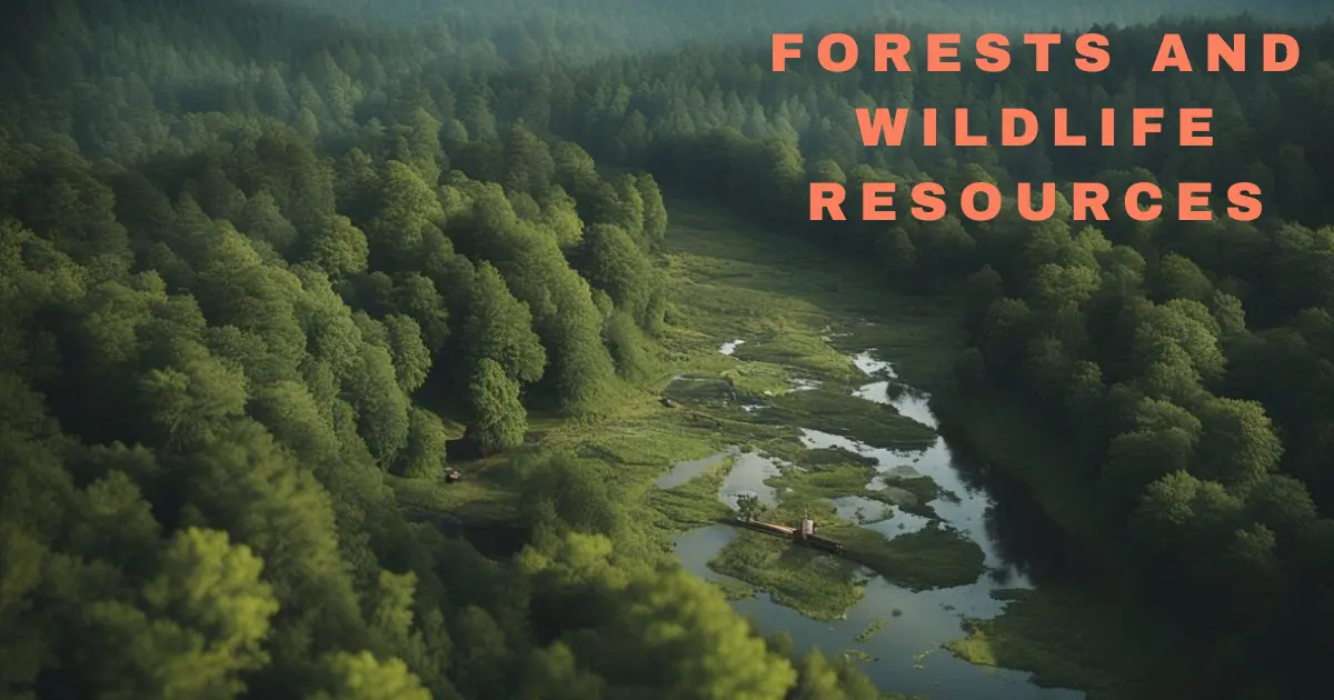 Forests And Wildlife Resources Sustain us in countless ways