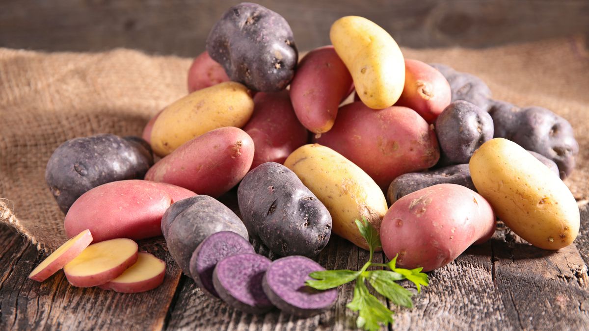 Potatoes: the complete guide to choosing the right variety to grow